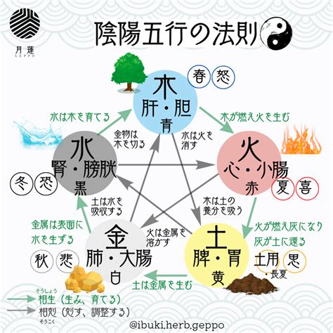 陰陽師五行|陰陽五行説 – 陰陽道・五行説をわかりやすく解説【図。